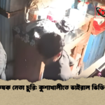 কৃষক নেতা চুরি কুশাখালীতে ভাইরাল ভিডিও কৃষক নেতা চুরি: কুশাখালীতে ভাইরাল ভিডিও
