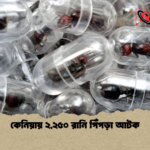 কেনিয়ায় ২২৫০ রানি পিঁপড়া আটক কেনিয়ায় ২,২৫০ রানি পিঁপড়া আটক