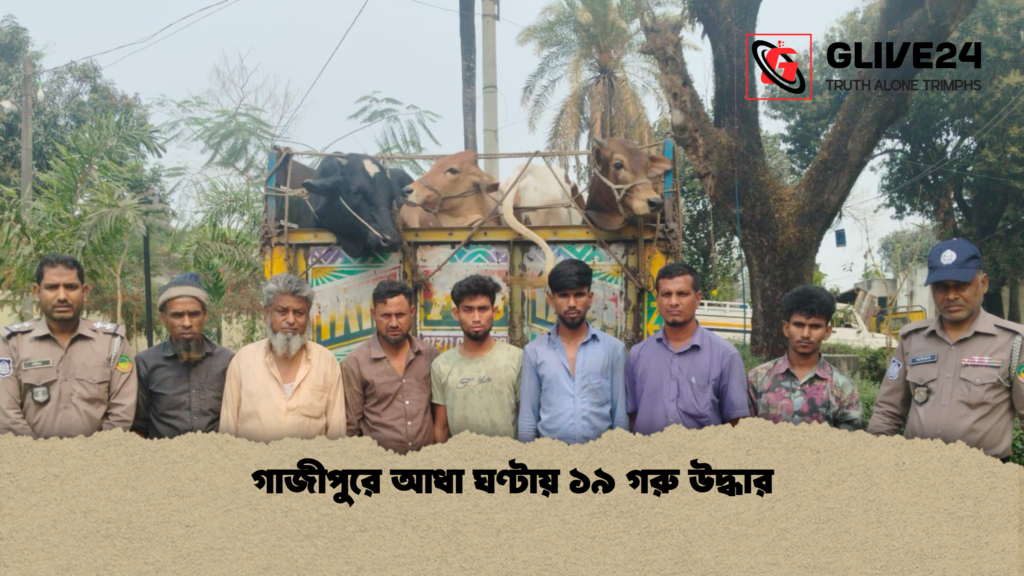 গাজীপুরে আধা ঘণ্টায় ১৯ গরু উদ্ধার গাজীপুরে আধা ঘণ্টায় ১৯ গরু উদ্ধার