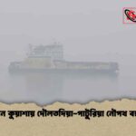 ঘন কুয়াশায় দৌলতদিয়া-পাটুরিয়া নৌপথ বন্ধ