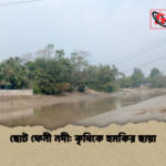 ছোট ফেনী নদী কৃষিকে হুমকির ছায়া ছোট ফেনী নদী: কৃষিকে হুমকির ছায়া