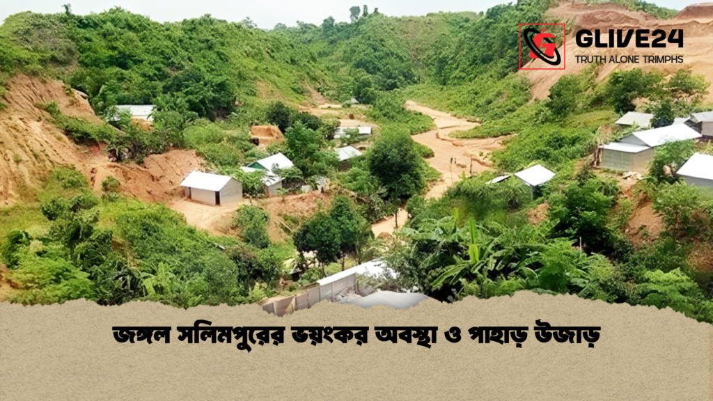 জঙ্গল সলিমপুরের ভয়ংকর অবস্থা ও পাহাড় উজাড় জঙ্গল সলিমপুরের ভয়ংকর অবস্থা ও পাহাড় উজাড় জঙ্গল সলিমপুরের ভয়ংকর অবস্থা ও পাহাড় উজাড়