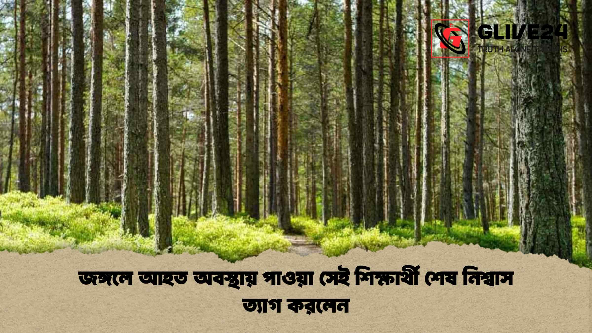 জঙ্গলে আহত অবস্থায় পাওয়া সেই শিক্ষার্থী শেষ নিশ্বাস ত্যাগ করলেন 1 জঙ্গলে আহত অবস্থায় পাওয়া সেই শিক্ষার্থী শেষ নিশ্বাস ত্যাগ করলেন