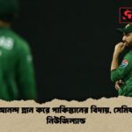 জয়ের আনন্দ ম্লান করে পাকিস্তানের বিদায় সেমিফাইনালে নিউজিল্যান্ড জয়ের আনন্দ ম্লান করে পাকিস্তানের বিদায়, সেমিফাইনালে নিউজিল্যান্ড