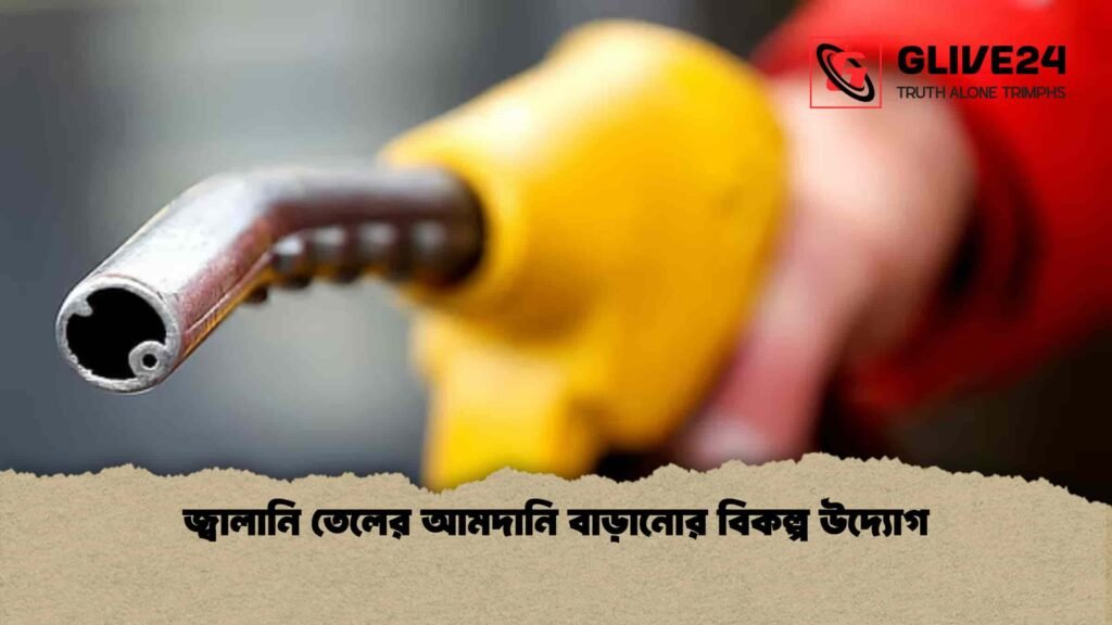 জ্বালানি তেলের আমদানি বাড়ানোর বিকল্প উদ্যোগ