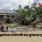 ঠাকুরগাঁওয়ে কালবৈশাখী ঝড়ে স্কুলছাত্রের মৃত্যু 2 ঠাকুরগাঁওয়ে কালবৈশাখী ঝড়ে স্কুলছাত্রের মৃত্যু
