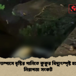 ঢাবি ক্যাম্পাসে বৃষ্টির পানিতে কুকুর বিদ্যুৎস্পৃষ্ট হয়ে মৃত্যু নিরাপত্তা সংকট ঢাবি ক্যাম্পাসে বৃষ্টির পানিতে কুকুর বিদ্যুৎস্পৃষ্ট হয়ে মৃত্যু, নিরাপত্তা সংকট