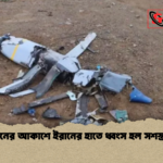 তেহরানের আকাশে ইরানের হাতে ধ্বংস হল সশস্ত্র ড্রোন তেহরানের আকাশে ইরানের হাতে ধ্বংস হল সশস্ত্র ড্রোন