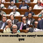 ত্রয়োদশ সংসদে প্রধানমন্ত্রীর পাশে গুরুত্বপূর্ণ আসন বরাদ্দ চূড়ান্ত ত্রয়োদশ সংসদে প্রধানমন্ত্রীর পাশে গুরুত্বপূর্ণ আসন বরাদ্দ চূড়ান্ত