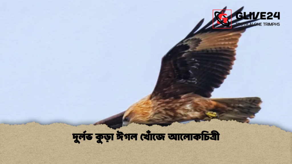 দুর্লভ কুড়া ঈগল খোঁজে আলোকচিত্রী দুর্লভ কুড়া ঈগল খোঁজে আলোকচিত্রী