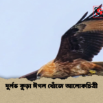 দুর্লভ কুড়া ঈগল খোঁজে আলোকচিত্রী দুর্লভ কুড়া ঈগল খোঁজে আলোকচিত্রী