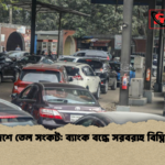 দেশে তেল সংকট ব্যাংক বন্ধে সরবরাহ বিঘ্নিত দেশে তেল সংকট: ব্যাংক বন্ধে সরবরাহ বিঘ্নিত