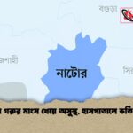 নাটোরে গরুর মাংস খেয়ে অসুস্থ হাসপাতালে ভর্তি ৩ জন নাটোরে গরুর মাংস খেয়ে অসুস্থ, হাসপাতালে ভর্তি ৩ জন