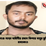 নারায়ণগঞ্জে ন্যাড়া বাহিনীর প্রধান কিলার বাবুর ছুরিকাঘাত হত্যাকাণ্ড নারায়ণগঞ্জে ন্যাড়া বাহিনীর প্রধান কিলার বাবুর ছুরিকাঘাত হত্যাকাণ্ড