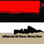 নাসিরনগরে টর্চ বিতণ্ডা কিশোর নিহত নাসিরনগরে টর্চ বিতণ্ডা: কিশোর নিহত