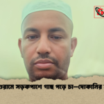 পরশুরামে সড়কপাশে গাছ পড়ে চা–দোকানির মৃত্যু পরশুরামে সড়কপাশে গাছ পড়ে চা–দোকানির মৃত্যু