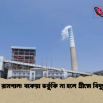 পায়রা ও রামপাল বকেয়া ভর্তুকি না হলে গ্রীষ্মে বিদ্যুৎ সংকট পায়রা ও রামপাল: বকেয়া ভর্তুকি না হলে গ্রীষ্মে বিদ্যুৎ সংকট