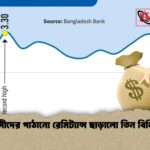 প্রবাসীদের পাঠানো রেমিট্যান্স ছাড়ালো তিন বিলিয়ন