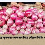 বাধ্য হয়ে কৃষকরা লোকসান নিয়ে পেঁয়াজ বিক্রি করছেন