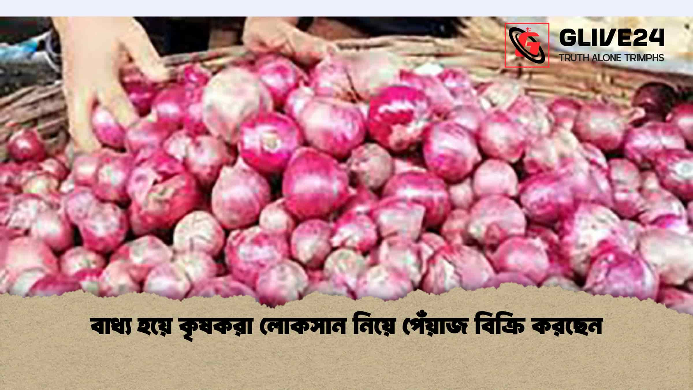বাধ্য হয়ে কৃষকরা লোকসান নিয়ে পেঁয়াজ বিক্রি করছেন