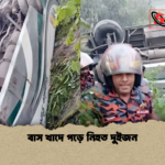 বাস খাদে পড়ে নিহত দুইজন বাস খাদে পড়ে নিহত দুইজন