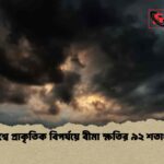 বিশ্বে প্রাকৃতিক বিপর্যয়ে বীমা ক্ষতির ৯২ শতাংশ