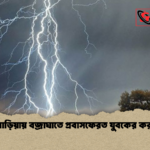 ব্রাহ্মণবাড়িয়ায় বজ্রাঘাতে প্রবাসফেরত যুবকের করুণ মৃত্যু ব্রাহ্মণবাড়িয়ায় বজ্রাঘাতে প্রবাসফেরত যুবকের করুণ মৃত্যু