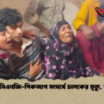 ভোলায় সিএনজি পিকআপ সংঘর্ষে চালকের মৃত্যু আহত ৫ ভোলায় সিএনজি-পিকআপ সংঘর্ষে চালকের মৃত্যু, আহত ৫
