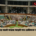 মিয়ানমার যাচাই করেছে আড়াই লাখ রোহিঙ্গাকে নাগরিক মিয়ানমার যাচাই করেছে আড়াই লাখ রোহিঙ্গাকে নাগরিক