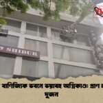 মিরপুরে বাণিজ্যিক ভবনে ভয়াবহ অগ্নিকাণ্ড প্রাণ হারালেন দুজন 1 মিরপুরে বাণিজ্যিক ভবনে ভয়াবহ অগ্নিকাণ্ড: প্রাণ হারালেন দুজন