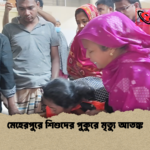 মেহেরপুরে শিশুদের পুকুরে মৃত্যু আতঙ্ক মেহেরপুরে শিশুদের পুকুরে মৃত্যু আতঙ্ক