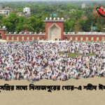 লাখো মুসল্লির মধ্যে দিনাজপুরের গোর এ শহীদ ঈদজামাত লাখো মুসল্লির মধ্যে দিনাজপুরের গোর-এ শহীদ ঈদজামাত