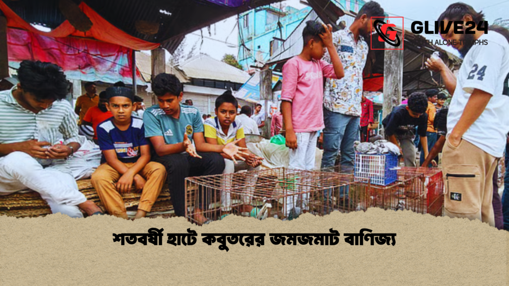 শতবর্ষী হাটে কবুতরের জমজমাট বাণিজ্য শতবর্ষী হাটে কবুতরের জমজমাট বাণিজ্য