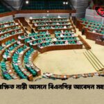 সংরক্ষিত নারী আসনে বিএনপির আবেদন মহারণ