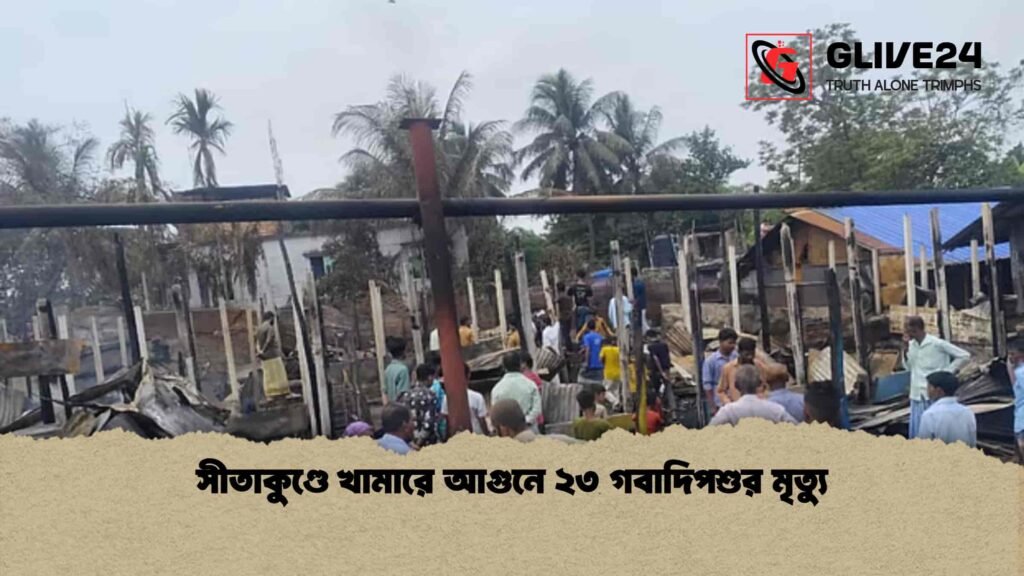 সীতাকুণ্ডে খামারে আগুনে ২৩ গবাদিপশুর মৃত্যু 3 সীতাকুণ্ডে খামারে আগুনে ২৩ গবাদিপশুর মৃত্যু