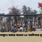 সীতাকুণ্ডে খামারে আগুনে ২৩ গবাদিপশুর মৃত্যু