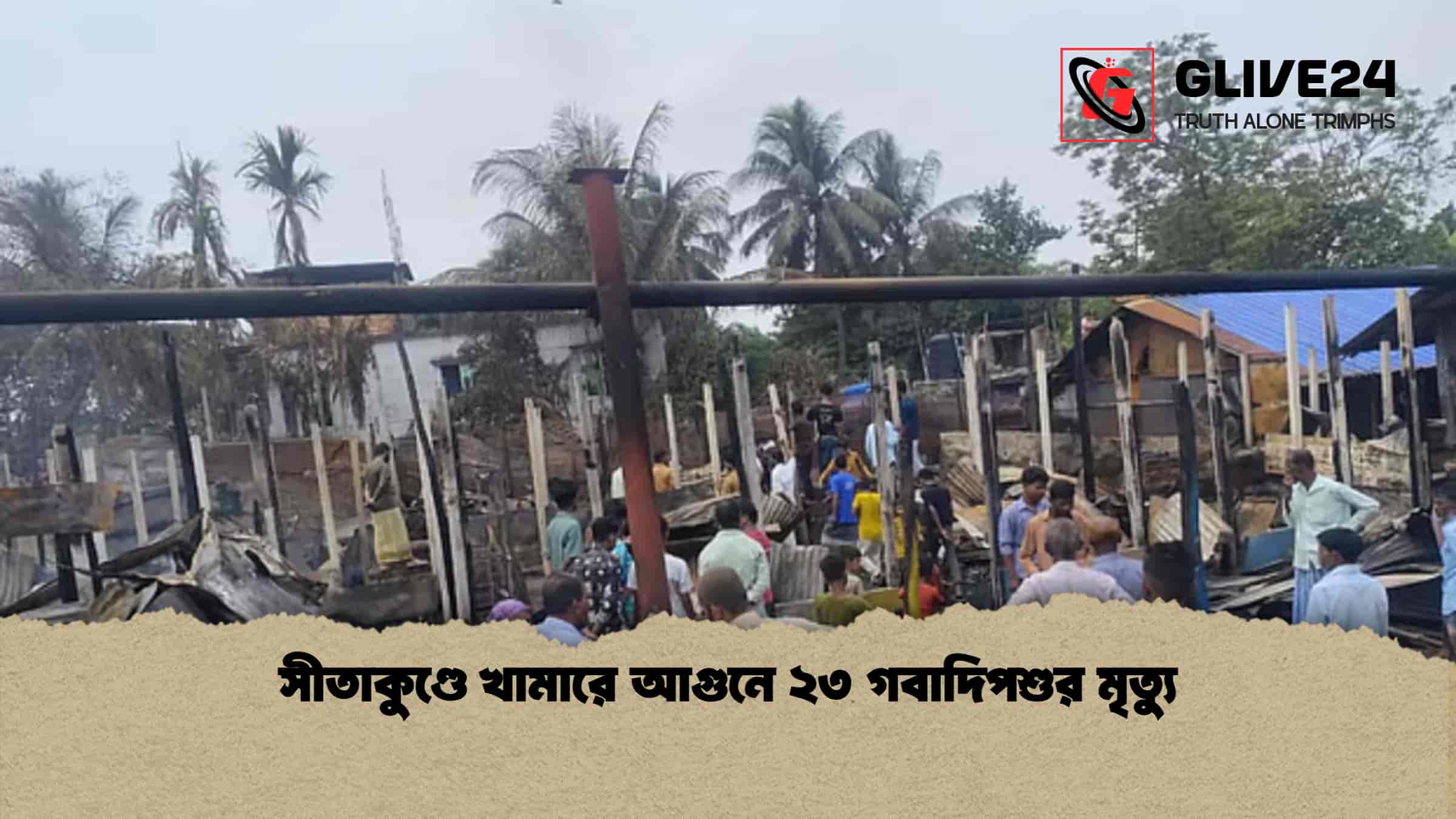 সীতাকুণ্ডে খামারে আগুনে ২৩ গবাদিপশুর মৃত্যু