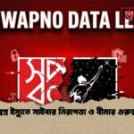 স্বপ্ন ইস্যুতে সাইবার নিরাপত্তা ও বীমার গুরুত্ব