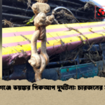 হবিগঞ্জে ভয়ঙ্কর পিকআপ দুর্ঘটনা চারজনের মৃত্যু হবিগঞ্জে ভয়ঙ্কর পিকআপ দুর্ঘটনা: চারজনের মৃত্যু