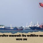 হরমুজ প্রণালিতে জাহাজজট বিশ্ব অর্থনীতিতে মহাসংকটের কালো মেঘ 1 হরমুজ প্রণালিতে জাহাজজট: বিশ্ব অর্থনীতিতে মহাসংকটের কালো মেঘ