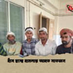 হাঁস দ্বন্দ্বে হামলায় আহত সাতজন হাঁস দ্বন্দ্বে হামলায় আহত সাতজন