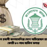 ২৩ দিনে প্রবাসী বাংলাদেশিরা দেশে পাঠিয়েছেন প্রায় ২৮২ কোটি ৮০ লাখ মার্কিন ডলার 2 ২৩ দিনে প্রবাসী বাংলাদেশিরা দেশে পাঠিয়েছেন প্রায় ২৮২ কোটি ৮০ লাখ মার্কিন ডলার