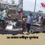 ২৪ দোকান ভস্মীভূত সুবর্ণচরে ২৪ দোকান ভস্মীভূত সুবর্ণচরে
