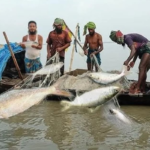 Bangladesh Enforces 58 Day Sea Fishing Ban সাগরে ৫৮ দিনের নিষেধাজ্ঞায় ভোলার জেলেরা সংকটে