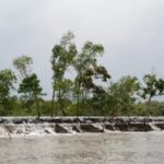 Call for Urgent Climate Insurance in Coastal Bangladesh উপকূলীয় দরিদ্রদের জন্য জলবায়ু বীমা সম্প্রসারণের আহ্বান জরুরি