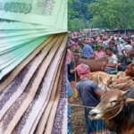 Central Bank Issues Advisory on High Value Banknotes for Eid ul Adha  ১০০০ ও ৫০০ টাকার নোট লেনদেনে কেন্দ্রীয় ব্যাংকের সতর্কতা