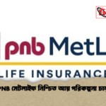 PNB মেটলাইফ নিশ্চিত আয় পরিকল্পনা চালু PNB মেটলাইফ নিশ্চিত আয় পরিকল্পনা চালু