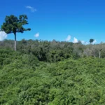 Six Rubber Plantation Workers Abducted in Bandarban বান্দরবানে ছয় রাবার শ্রমিক অপহরণ ও ২০ লাখ টাকা মুক্তিপণ দাবি