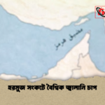 news thumbnail 1777197802000 হরমুজ সংকটে বৈশ্বিক জ্বালানি চাপ