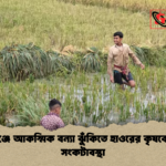 news thumbnail 1777271977923 সুনামগঞ্জে আকস্মিক বন্যা ঝুঁকিতে হাওরের কৃষকের চরম সংকটাবস্থা